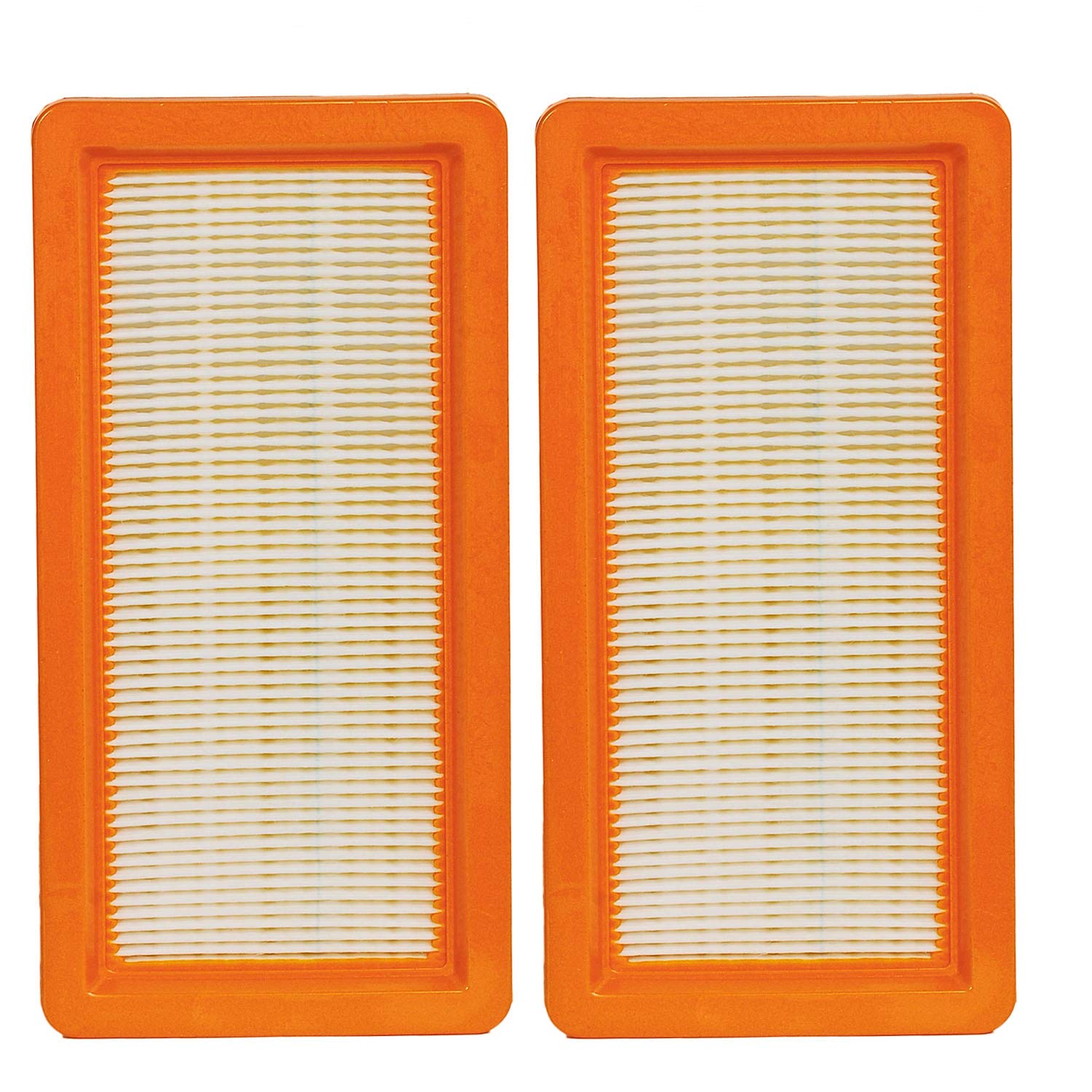 Hifrom Vacuum Cleaner Replacement Air Filter For Karcher Ds5500 Ds5600 Ds5800 Ds6000 Vacuum Cleaner Accessery (2 Pack)